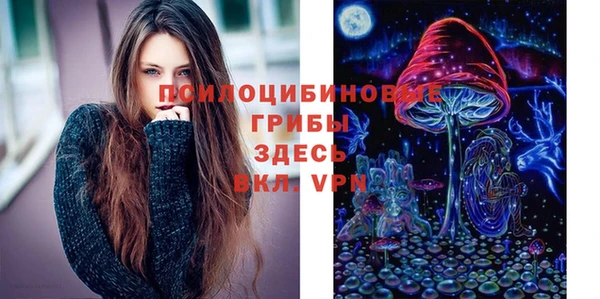 метадон Лагань