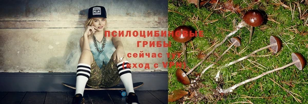 дурь Лабытнанги
